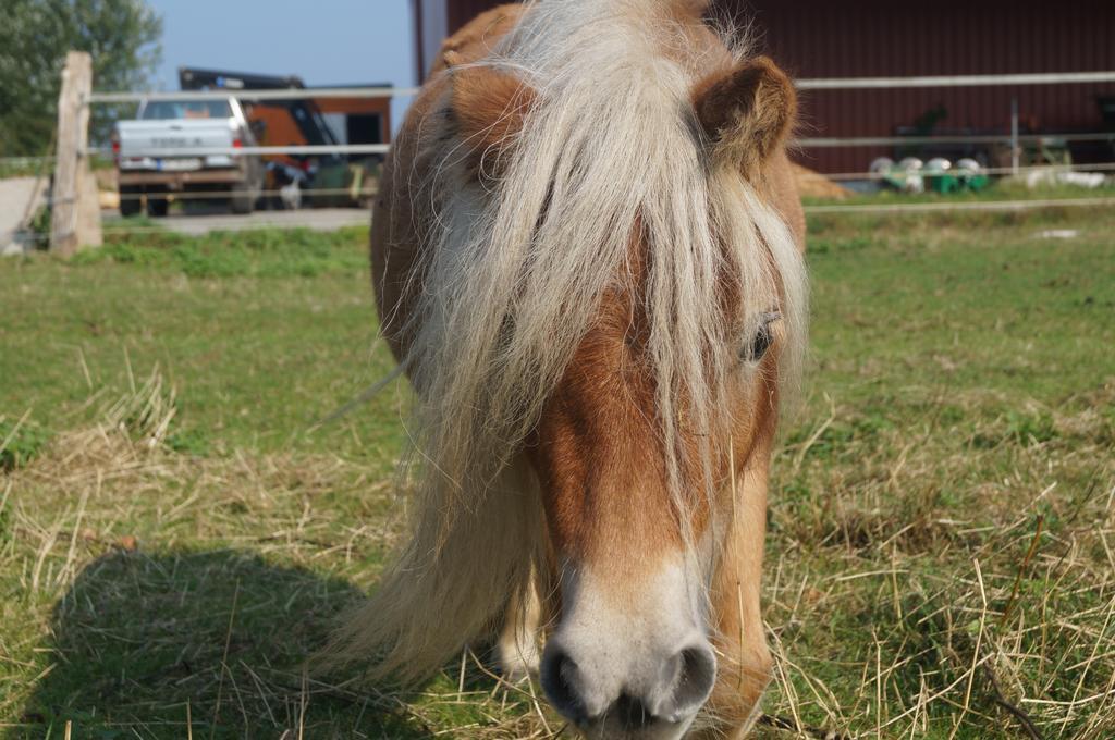 Ferienhof Seelust Gammendorf Kültér fotó